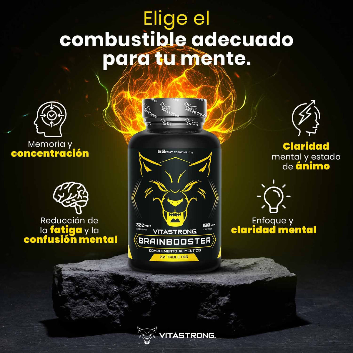 BRAINBOOSTER
