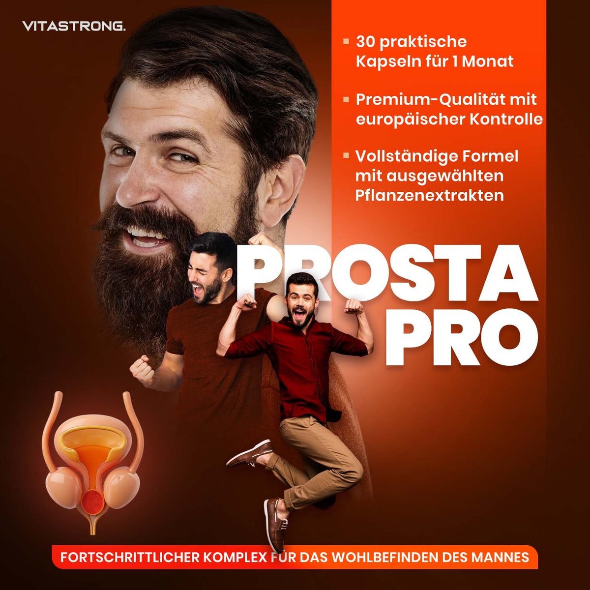 PROSTA PRO
