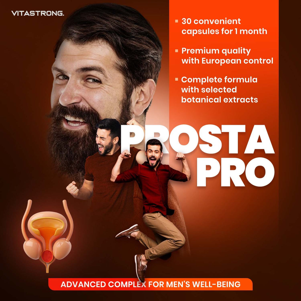 PROSTA PRO