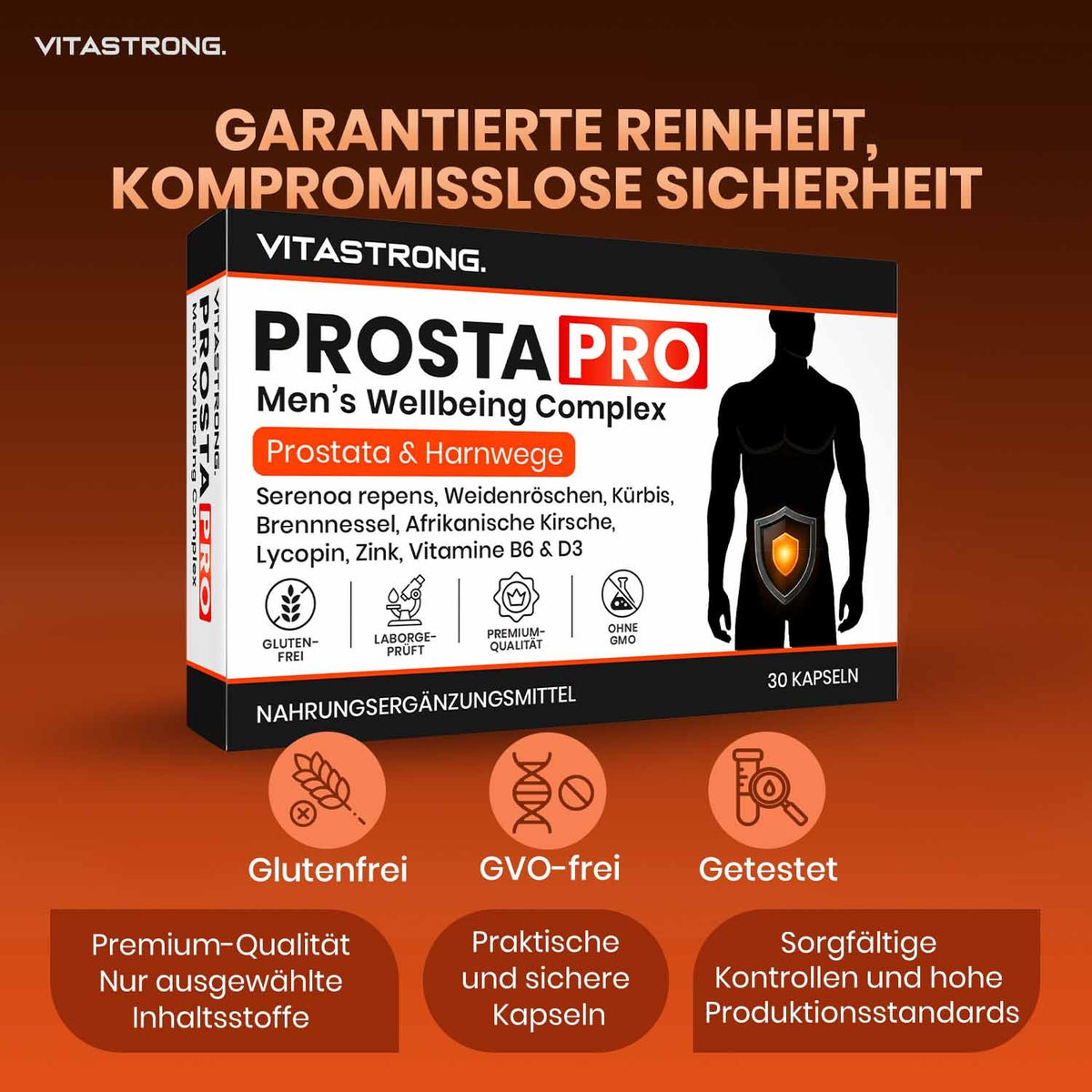 PROSTA PRO