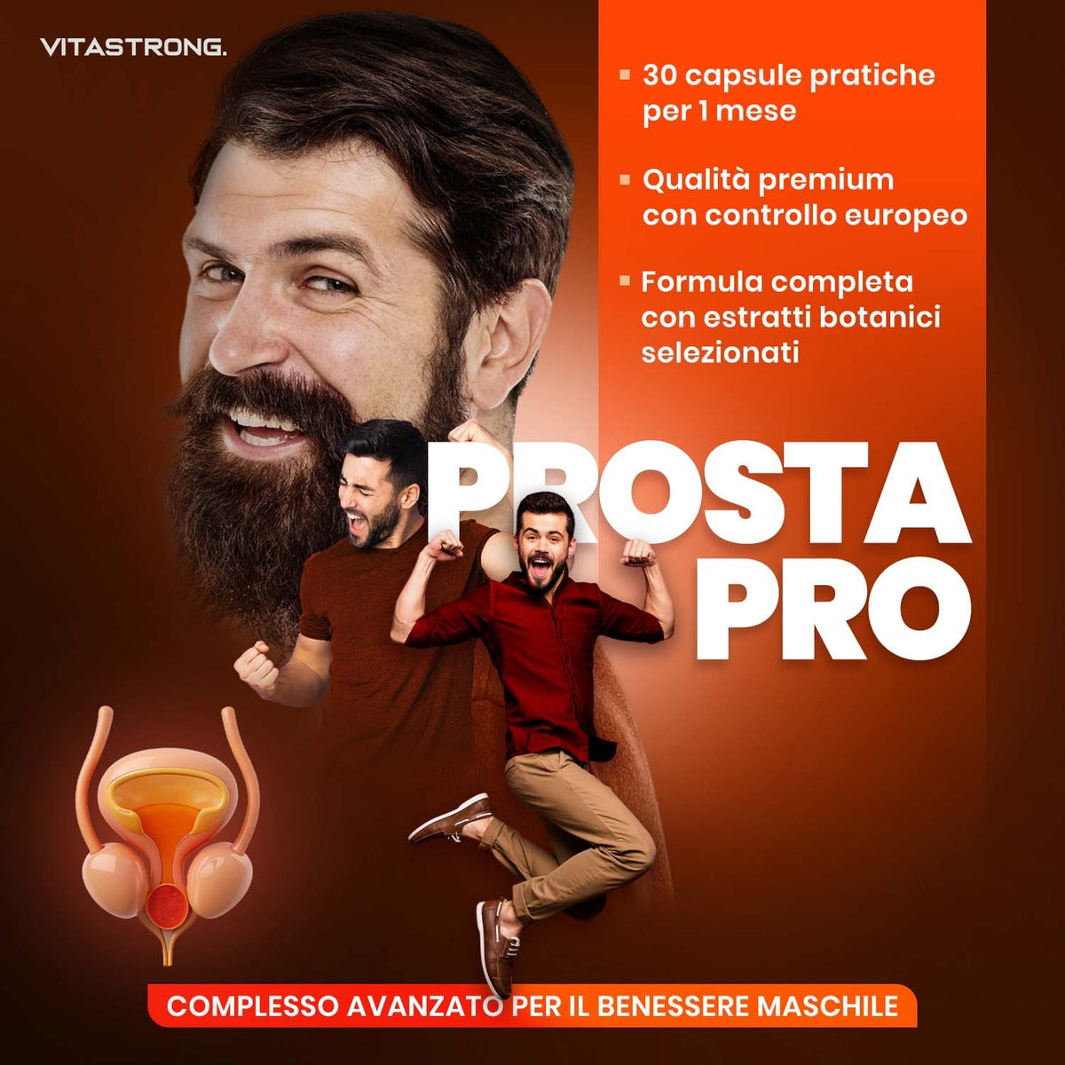 PROSTA PRO