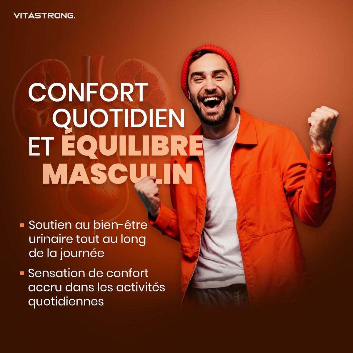 PROSTA PRO