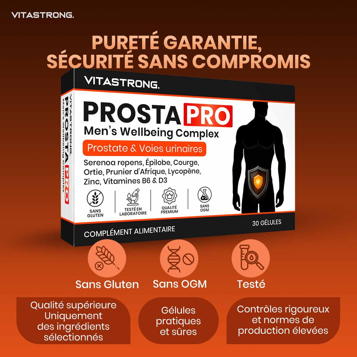 PROSTA PRO