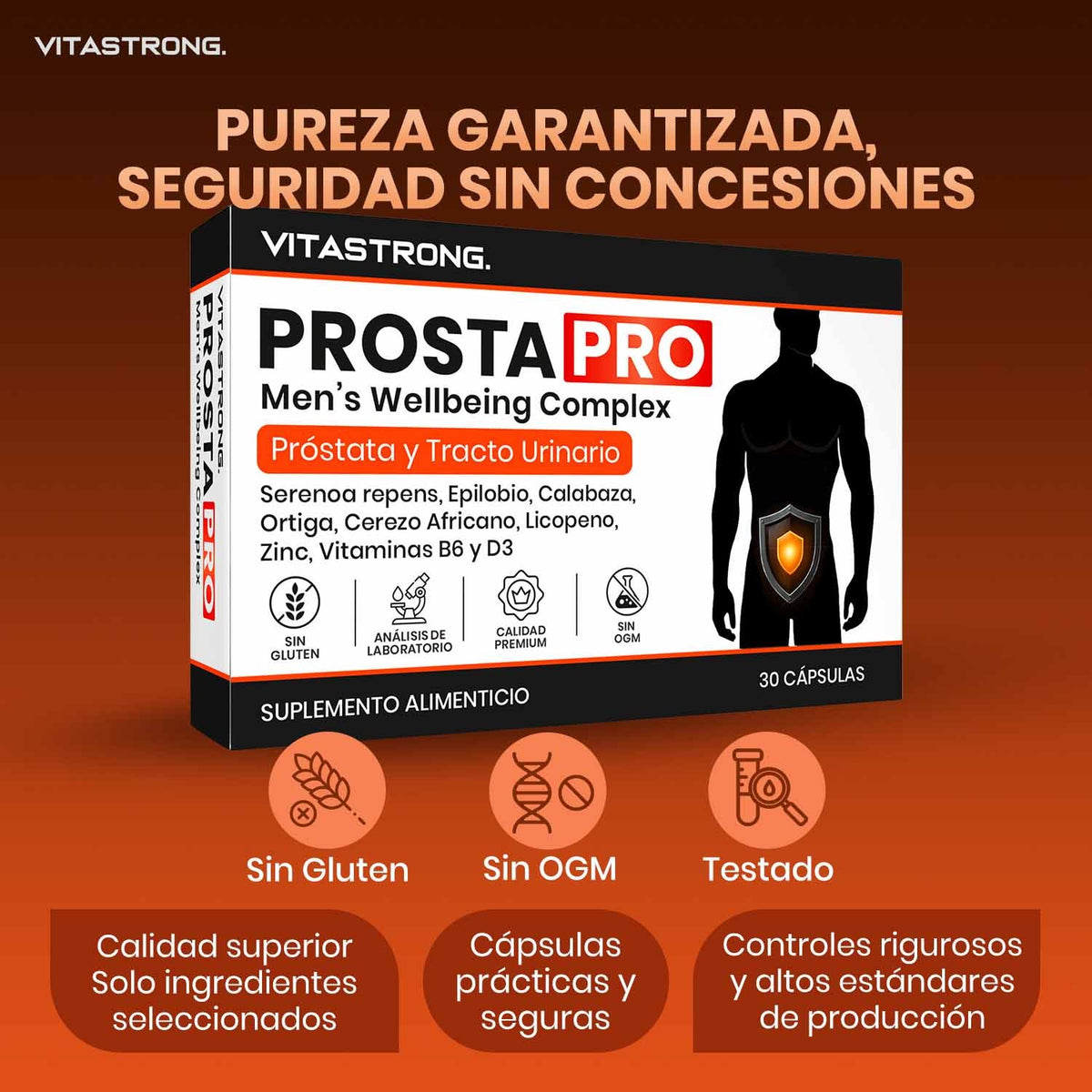 PROSTA PRO
