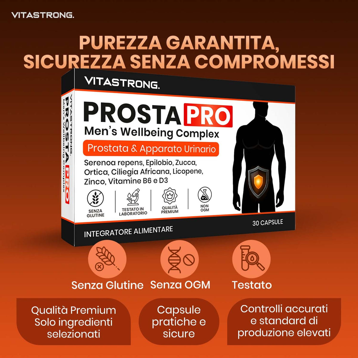 PROSTA PRO