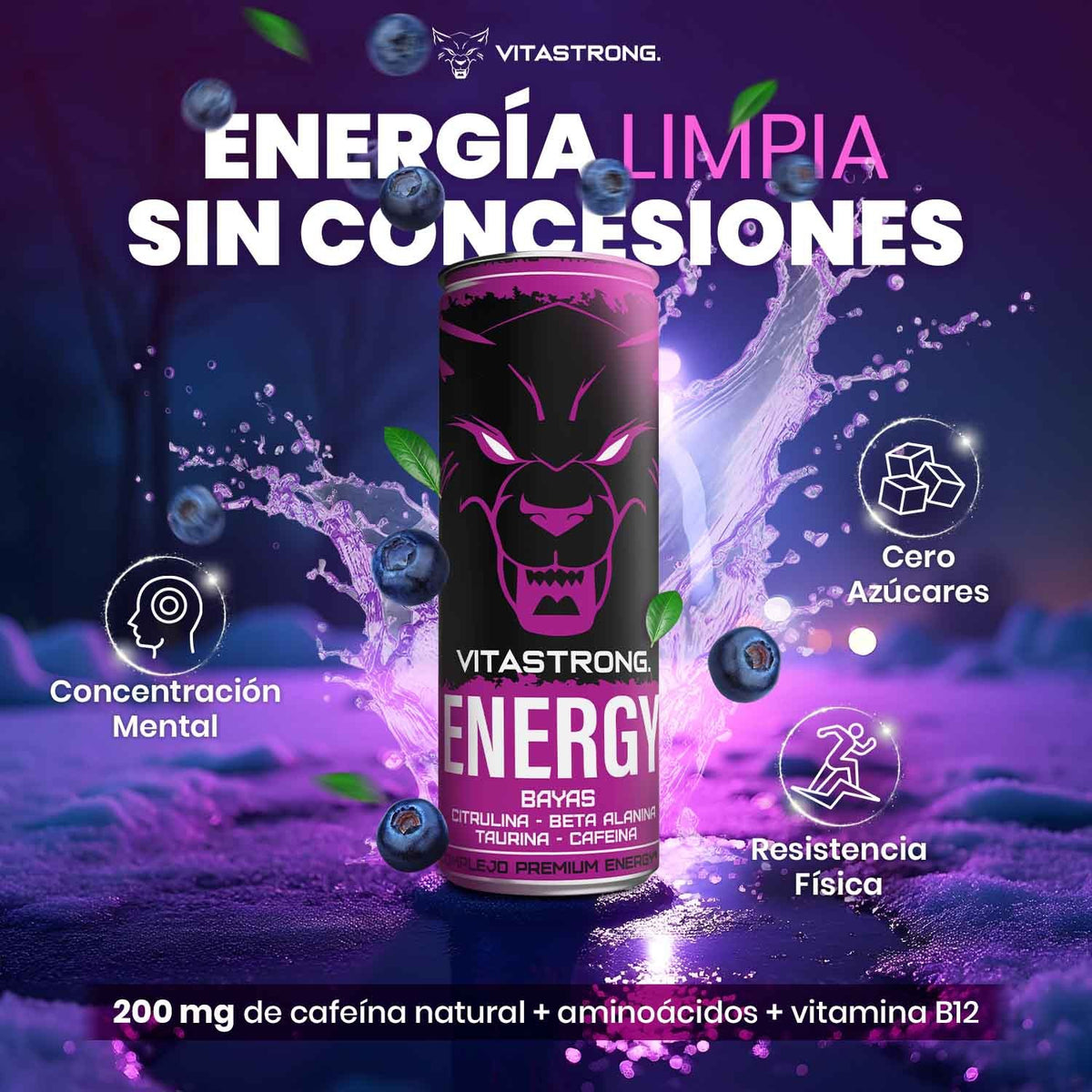 VITASTRONG ENERGY X1 BERRIES
