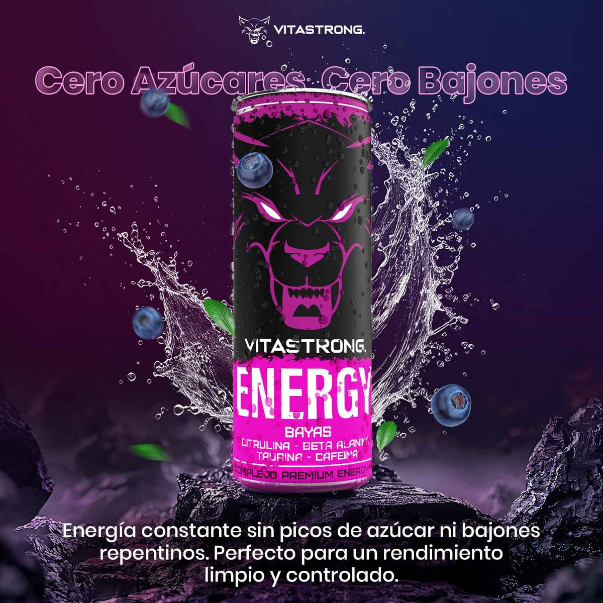 VITASTRONG ENERGY X1 BERRIES