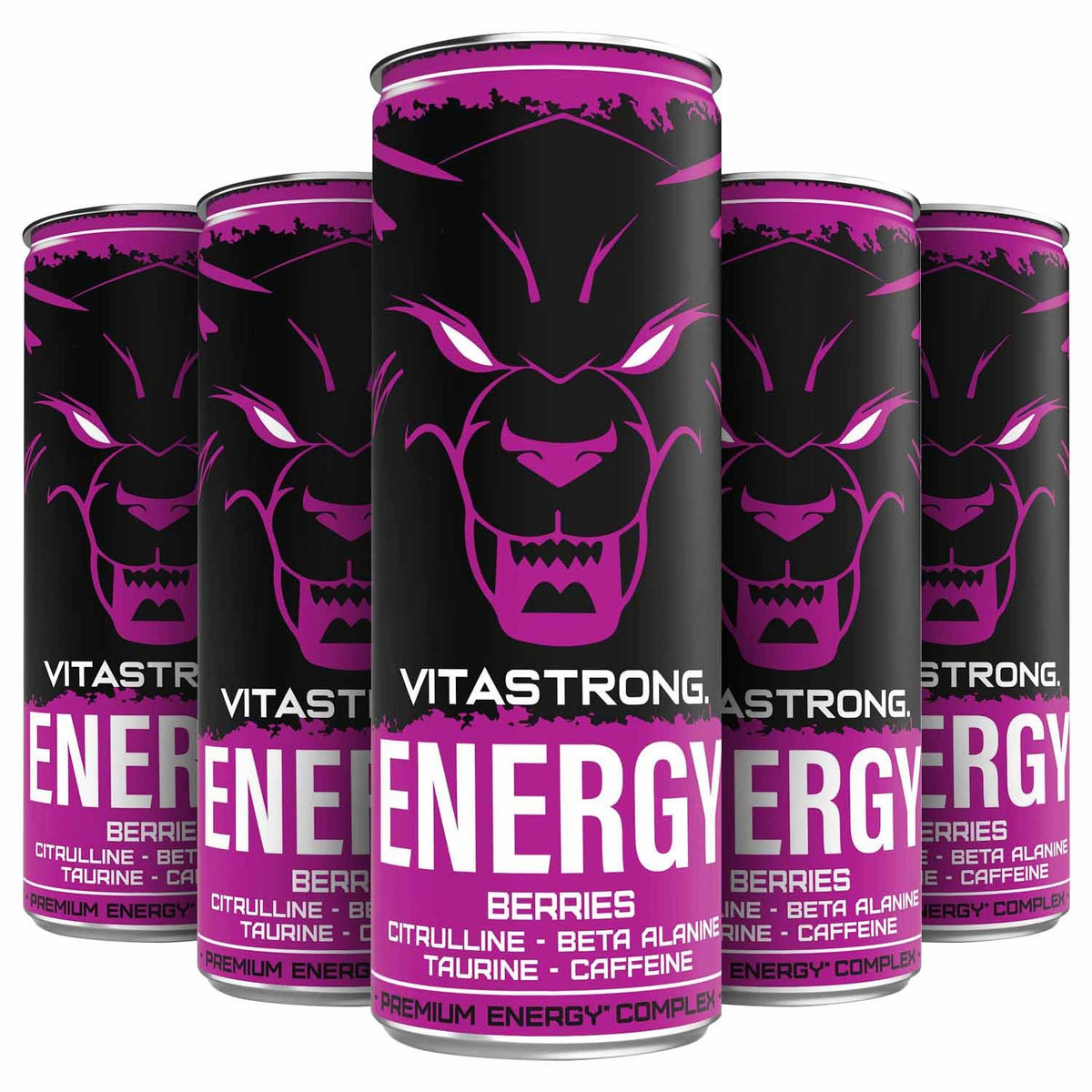 VITASTRONG ENERGY X12 BERRIES